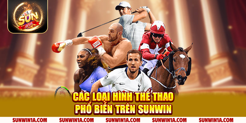 Cac Loai Hinh The Thao Pho Bien Tren Sunwin